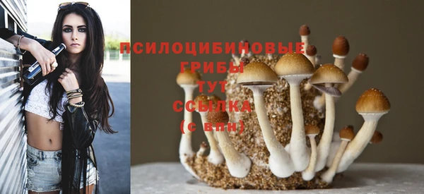 мет Тутаев