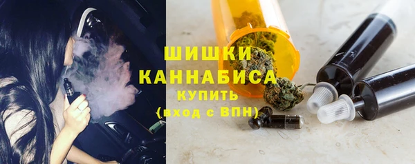 PSILOCYBIN Тында