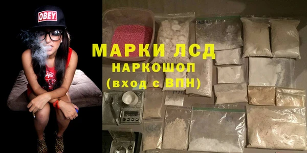 PSILOCYBIN Тында