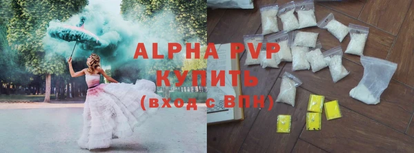 PSILOCYBIN Тында